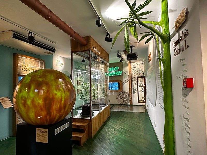 Cannabis Museum Amsterdam - 1st Floor